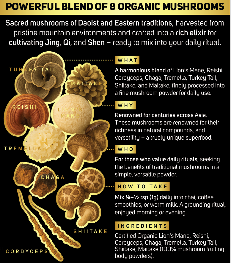Certified Organic 8 in 1 Mushroom Elixir