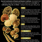Certified Organic 8 in 1 Mushroom Elixir